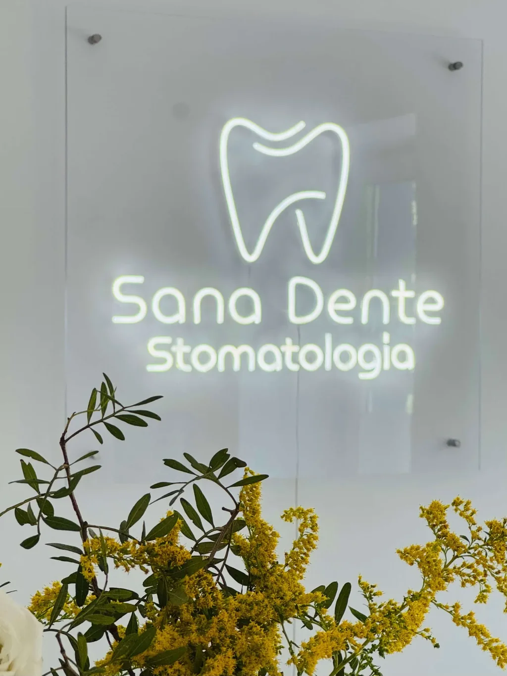 Podświetlany neon z logo Sana Dente Stomatologia w gabinecie w Gdańsku Jelitkowie